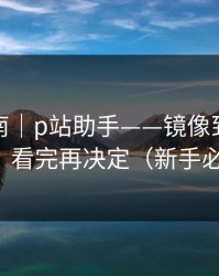 避坑指南｜p站助手——镜像到底是什么？看完再决定（新手必看）