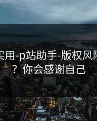 冷门但实用-p站助手-版权风险怎么避？你会感谢自己