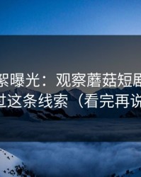 幕后花絮曝光：观察蘑菇短剧｜别错过这条线索（看完再说）
