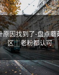 数据飙升原因找到了-盘点蘑菇视频社区｜老粉都认可