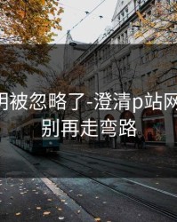 官方说明被忽略了-澄清p站网页登录：别再走弯路