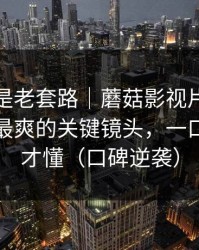 我以为是老套路｜蘑菇影视片单评分逆袭｜最爽的关键镜头，一口气看完才懂（口碑逆袭）