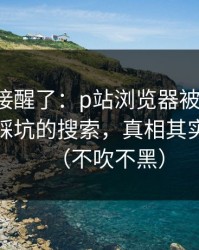 看完直接醒了：p站浏览器被误会了：最容易踩坑的搜索，真相其实很简单（不吹不黑）