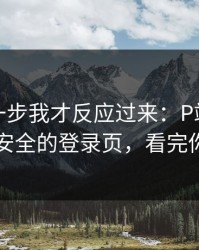 看到这一步我才反应过来：P站被误会了｜最安全的登录页，看完你就懂了