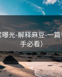 幕后花絮曝光-解释麻豆-一篇讲清（新手必看）