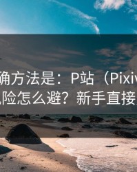 原来正确方法是：P站（Pixiv）｜版权风险怎么避？新手直接照做