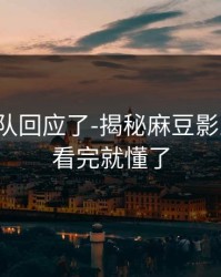 创作团队回应了-揭秘麻豆影业在线：看完就懂了