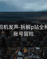 社区老司机发声-拆解p站全称，别拿账号冒险