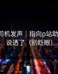 社区老司机发声｜指向p站助手-这次说透了（别眨眼）