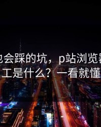 老用户也会踩的坑，p站浏览器｜搬运工是什么？一看就懂