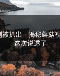 热榜机制被扒出｜揭秘蘑菇视频热榜｜这次说透了