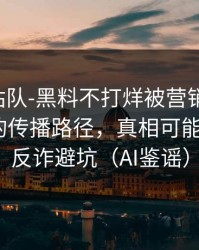 别急着站队-黑料不打烊被营销号盯上-最危险的传播路径，真相可能很扎心｜反诈避坑（AI鉴谣）