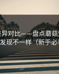 剪辑版差异对比——盘点蘑菇短剧：你会发现不一样（新手必看）