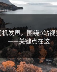 社区老司机发声，围绕p站视频网页版——关键点在这