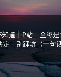 很多人不知道｜P站｜全称是什么？看完再决定｜别踩坑（一句话讲清）