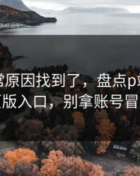 账号异常原因找到了，盘点p站视频网页版入口，别拿账号冒险