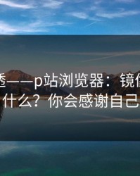 一篇讲透——p站浏览器：镜像到底是什么？你会感谢自己