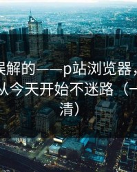一直被误解的——p站浏览器，全称是什么？从今天开始不迷路（一句话讲清）