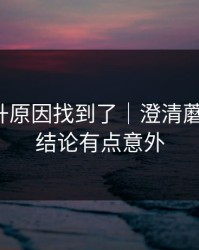 数据飙升原因找到了｜澄清蘑菇短剧，结论有点意外