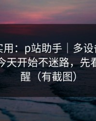 冷门但实用：p站助手｜多设备怎么切换？从今天开始不迷路，先看合规提醒（有截图）
