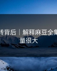 评分反转背后｜解释麻豆全集｜信息量很大