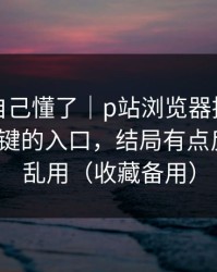 我以为自己懂了｜p站浏览器提示异常｜最关键的入口，结局有点反转：别乱用（收藏备用）