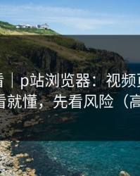 新手必看｜p站浏览器：视频页怎么分辨？一看就懂，先看风险（高能干货）