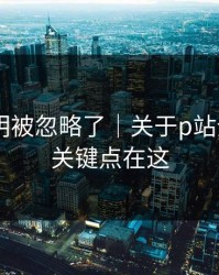 官方说明被忽略了｜关于p站全称——关键点在这