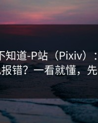 很多人不知道-P站（Pixiv）：网页登录常见报错？一看就懂，先看风险
