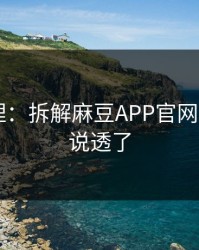 一手整理：拆解麻豆APP官网——这次说透了