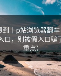 我真没想到｜p站浏览器翻车了——最常见的入口，别被假入口骗了（避坑重点）