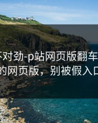越查越不对劲-p站网页版翻车了——最常见的网页版，别被假入口骗了