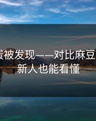 隐藏彩蛋被发现——对比麻豆短剧——新人也能看懂