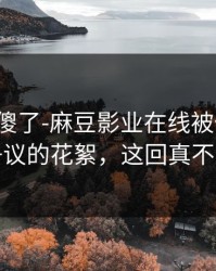 路人看傻了-麻豆影业在线被低估了，最有争议的花絮，这回真不是套路