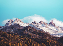 看到这一幕我沉默了，每日大赛风向变了：最让人破防的一张截图，真相有点扎心（路人视角）