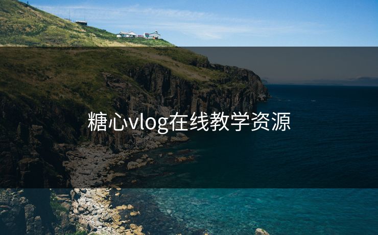 糖心vlog在线教学资源