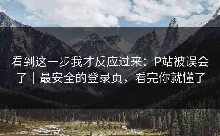 看到这一步我才反应过来：P站被误会了｜最安全的登录页，看完你就懂了