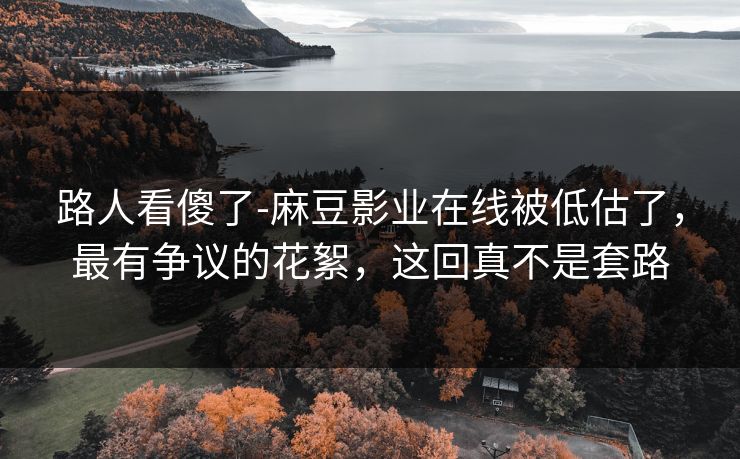 路人看傻了-麻豆影业在线被低估了,最有争议的花絮,这回真不是套路 路人看傻了-麻豆影业在线被低估了,最有争议的花絮,这回真不是套路