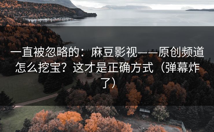 一直被忽略的:麻豆影视——原创频道怎么挖宝?这才是正确方式(弹幕炸了) 一直被忽略的:麻豆影视——原创频道怎么挖宝?这才是正确方式(弹幕炸了)