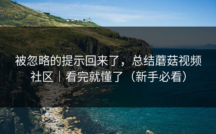 被忽略的提示回来了，总结蘑菇视频社区｜看完就懂了（新手必看）