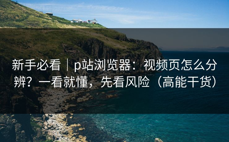 新手必看｜p站浏览器：视频页怎么分辨？一看就懂，先看风险（高能干货）