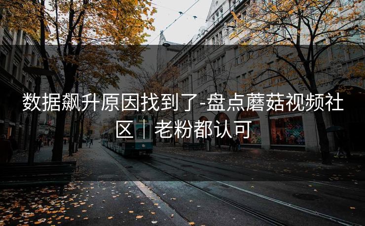 数据飙升原因找到了-盘点蘑菇视频社区｜老粉都认可
