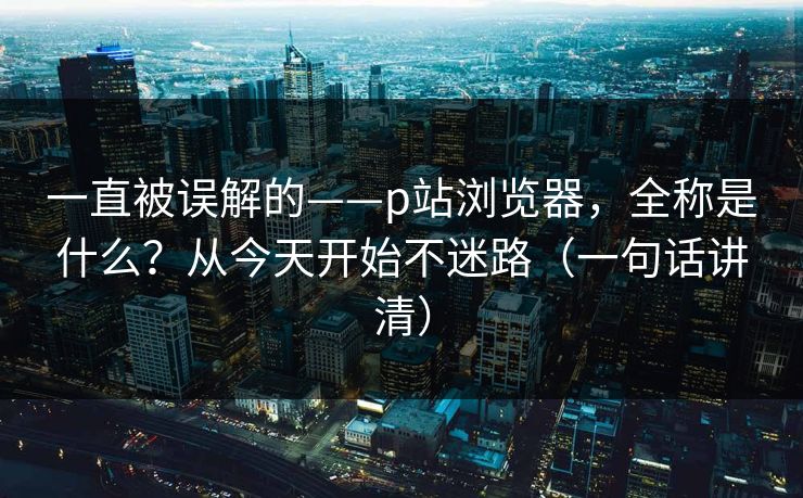 一直被误解的——p站浏览器，全称是什么？从今天开始不迷路（一句话讲清）