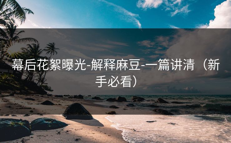 幕后花絮曝光-解释麻豆-一篇讲清(新手必看) 幕后花絮曝光-解释麻豆-一篇讲清(新手必看)